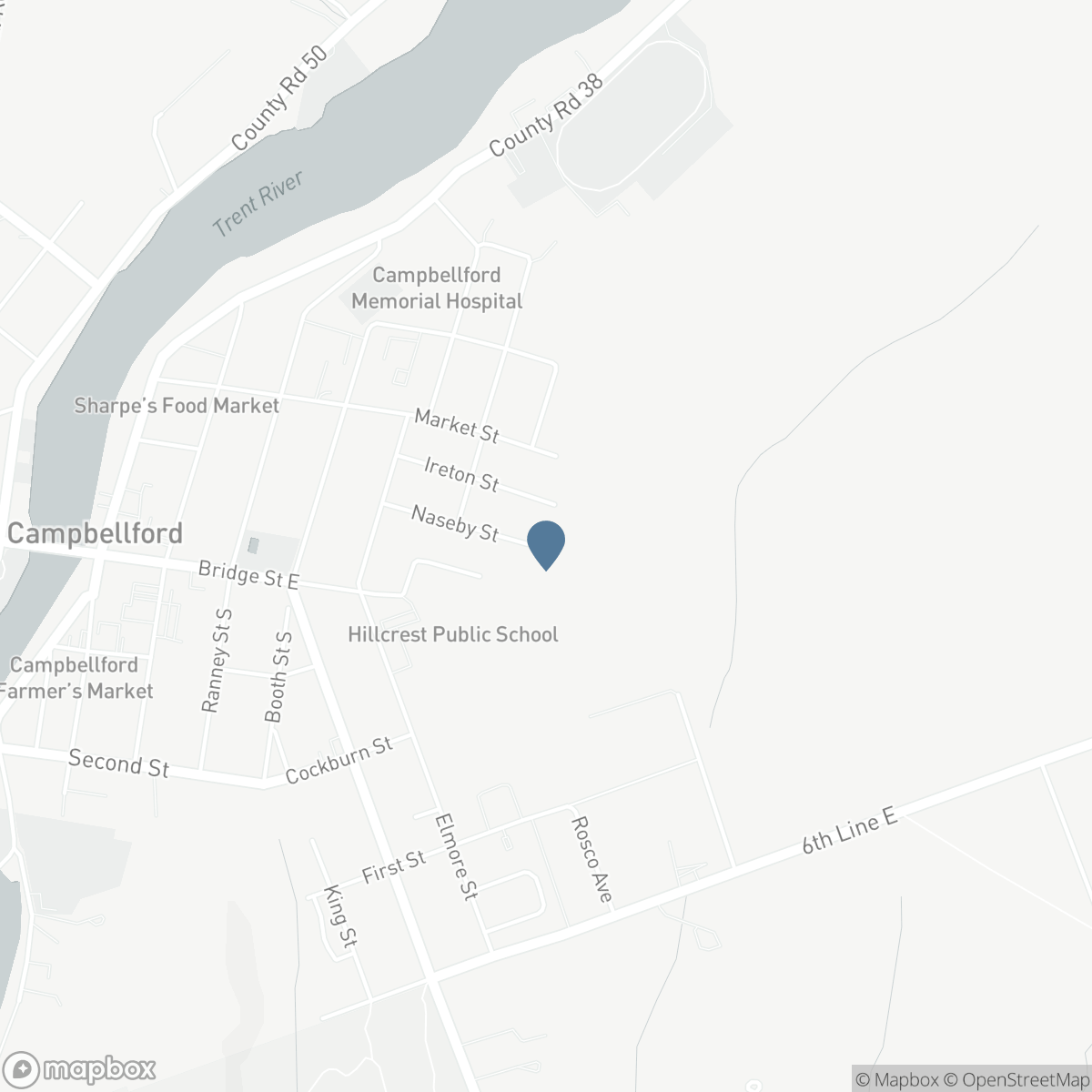 254 NASEBY STREET, Campbellford, Ontario K0L 1L0